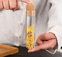 Nouvelle fuite de thé Creative Tea Infuser Tube Passoire à thé en verre