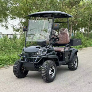 Carrito de Golf Eléctrico de 2 Plazas, Ideal para Mantenimiento de Campos de Golf, Transporte en Jardines, Construcción Resistente para Carreteras No Públicas - Product Image 1