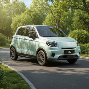 LeapMotors T03 <span class=keywords><strong>Auto</strong></span> Ev Luxury, Mini Vehículo <span class=keywords><strong>El</strong></span>éctrico de 4 Plazas, Vehículo de Nueva Energía con Autos <span class=keywords><strong>El</strong></span>éctricos LeapMotor, Autos con Volante a la Izquierda, 403 km de Autonomía - Product Image 2
