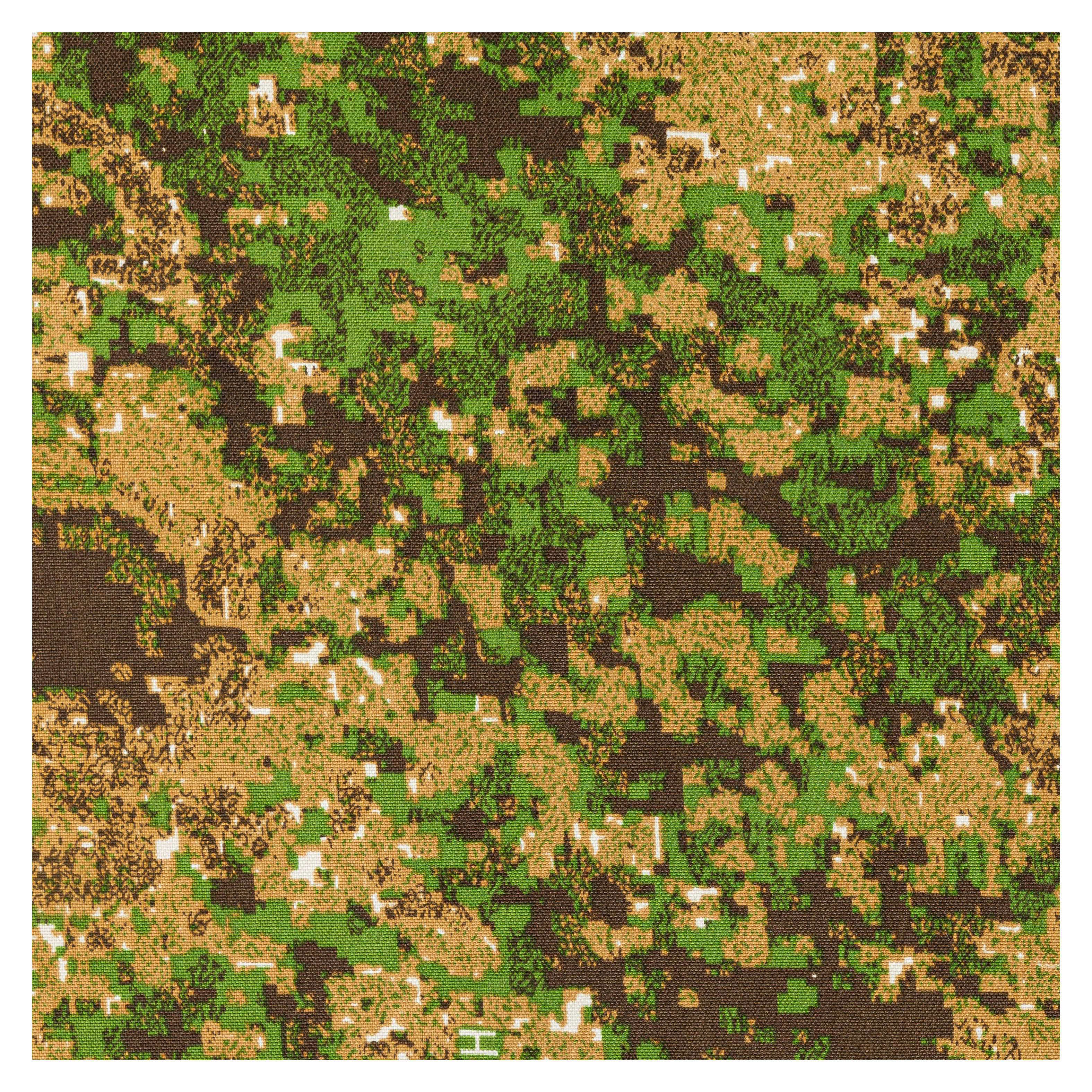 เพนคอตต์กรีนโซน