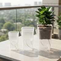 Pot Pembibitan Self Watering Baru 2.6 inci dengan Lubang Drainase, Plastik Transparan Ramah Lingkungan, Pot Tanaman Mini untuk Bibit Bunga