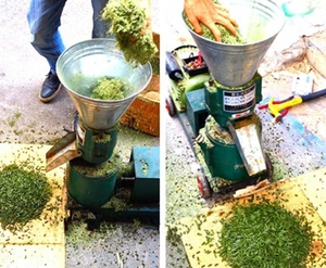 Tùy chỉnh động vật Thức ăn viên Máy Làm Điều kiện Mới động cơ diesel hạt mài máy cho nhà máy sản xuất gia súc trang trại - Product Image 5