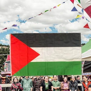 País personalizado nacional al aire libre 3*5 pies 90*150cm <span class=keywords><strong>Palastine</strong></span> Palestina Productos Bandera de Palestina - Product Image 3