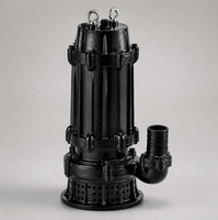 Pompe submersible électrique triphasée industrielle QX 7,5 CV, débit de 15 m³/h, sortie DN50, pour l'approvisionnement en eau des projets et l'irrigation agricole