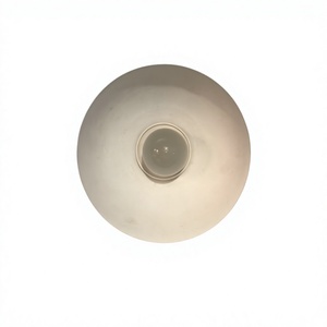 Minimalist Brass <b>Ceiling</b> <b>Light</b> Round <b>White</b> <b>Shade</b> Flush Mount Indoor Home Decor Removable Design Living Room Fixture - Product Image 4