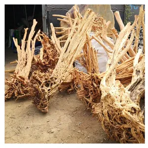 홈 장식 정원 조경 대형 유목 진달래 뿌리