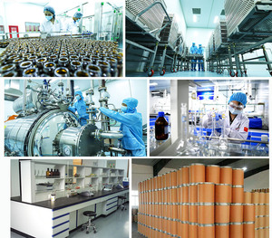 <span class=keywords><strong>Soapnut</strong></span> saponin 40% 80% cho dầu gội đầu và chất tẩy rửa sapindosides 70% 40% soapberry trái cây chiết xuất bột - Product Image 5