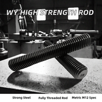 WY Grade 8.8 Carbon Steel Double Head Stud Black Fully Threaded Metric X 3000mm Right Hand Thread Rod