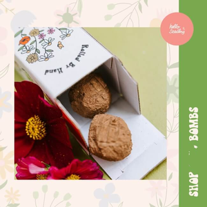 งานฝีมือแฮนด์เมดในร่มชุดระเบิด semilla Hello Daisy Meadow 3 X - Product Image 4