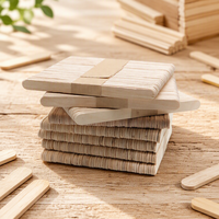 Bâtonnets en bois écologiques en gros pour artisanat, glaces, café, usage domestique, et moules à glaçons en forme de fruits pour la préparation de glaces et de boissons.