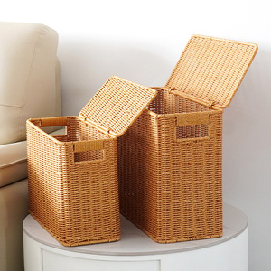 Boîte de rangement étroite et haute à couvercle, aspect rotin, organisateur d'espace pour magazines, coin de canapé, rangement latéral - Product Image 1