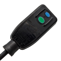 16A 220V GFCI RCD disjoncteur prise réinitialisation automatique défaut à la terre Protection contre les fuites IP54 niveau cordons d'alimentation rallonges