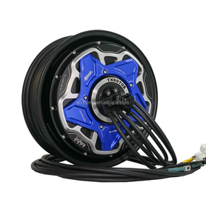 Kits de Conversión de Motor de Buje sin Escobillas de 12 Pulgadas y 3000W de Alta Potencia, Impermeables IP67, para Motocicletas, Scooters y Ciclomotores de Competición, 12 Pulgadas 300 - Product Image 3