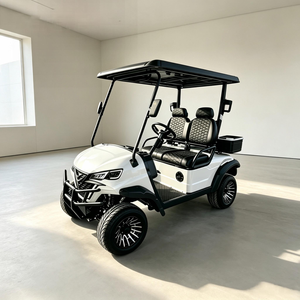 Voiturette de golf électrique avec accessoires optionnels multiples, pour transport en lieux touristiques sur routes non publiques, homologuée DOT CE EEC - Product Image 1
