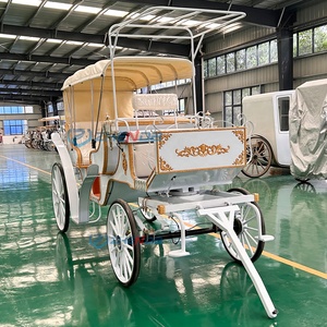 Carroza Romántica Blanca sin Motor para Paseos Turísticos, Fabricantes Chinos, Carroza de Caballos de Doble Fila de Alta Calidad - Product Image 3