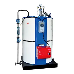 Verticale Gas-Of Dieselgestookte Mini-Ketel 100 500 Kg Stoomketel Industriële Stoomketel Kleine Gasstoomgenerator