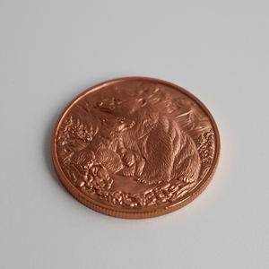 Tùy Chỉnh 999 Tinh Khiết Đồng 1 Oz Đồng Xu Với Sâu 3D Gấu Bắc Cực Cao Cấp Kim Loại Sưu Tập Cao Chi Tiết Động Vật Đồng Xu Trong Kho - Product Image 2