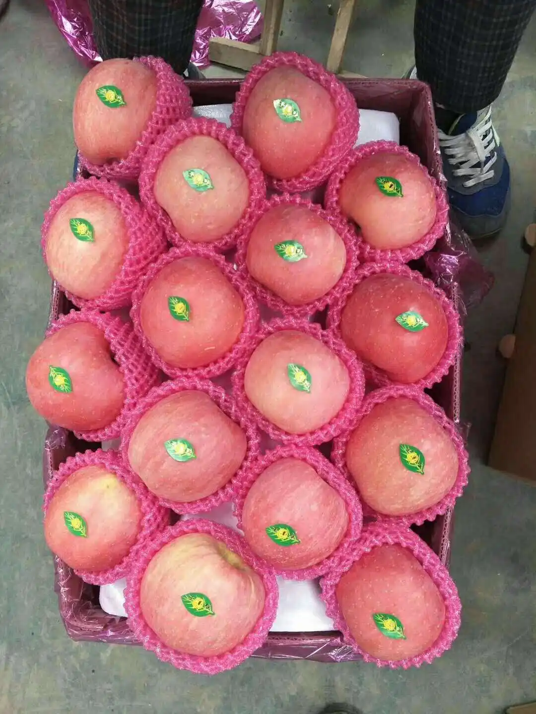 China fresh fuji apple wholesale prices fresh apple fruit in bulk