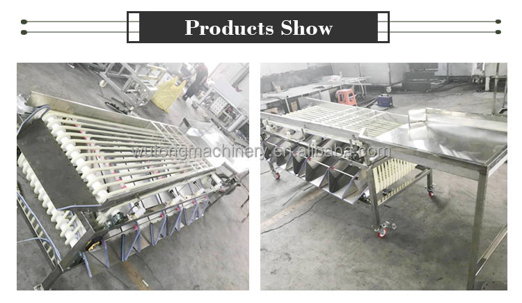 Fruits Grader Machine Fresh Blueberry Grading Sorting Machine Raspberry finger lime Size Classifier