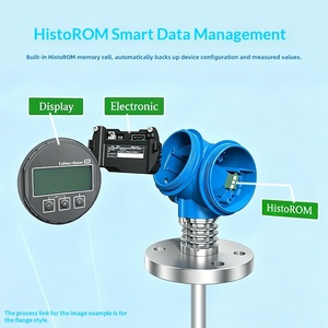Capteur de niveau radar à ondes guidées E+H série FMP, résistant à la corrosion, pour la mesure de boues, authentique, fabriqué en Chine - Product Image 2