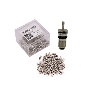 <span class=keywords><strong>Clim</strong></span> <span class=keywords><strong>Auto</strong></span> ac compresseur noir noyau de valve R134a M6 * 0.75 universel - Product Image 4