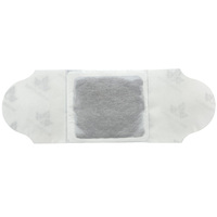 Patch thermique à base de plantes pour le soulagement de la douleur Moxa plâtre pour les fournitures de thérapie de rééducation