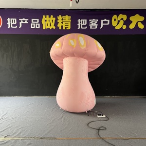 Modèle de <span class=keywords><strong>champignon</strong></span> gonflable géant personnalisé et coloré, grand <span class=keywords><strong>champignon</strong></span> gonflable de <span class=keywords><strong>dessin</strong></span> animé pour la décoration paysagère des parcs à thème - Product Image 4
