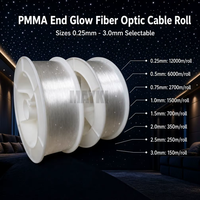 Cable de Fibra Óptica de PMMA de un Solo Núcleo, Rollo de Fibra Óptica con Brillo en el Extremo para Techo de Auto y Cielo Artificial