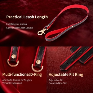Correa de Cuero BDSM DOGLOV, Correa de Restricción para Pene y Bolas, Juego Sexual para Parejas, Juguetes Sexuales Fetichistas, Equipo de Bondage para Hombres - Product Image 3