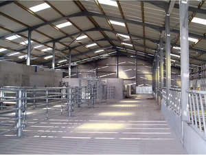 China Stalen Structuur Varkens Pluimvee Bouw Loodsen Voor Varkens - Product Image 1