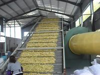 GRT 3 couches 5 couches multicouches continues Mesh belt dessiccateur pour briquettes et chips de pommes de terre chili