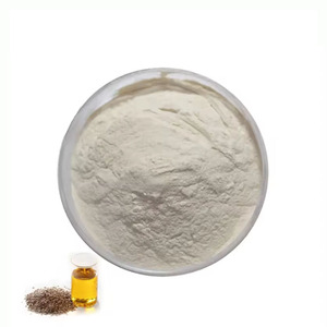 น้ำมันเมล็ดแฟลกซ์เกรดอาหารเบนเฟิง สารสกัดผงไมโครแคปซูลสีขาว 50% กรดอัลฟา-ลินโนเลนิกและเควอซิทิน บรรจุถัง 1 กิโลกรัม - Product Image 6