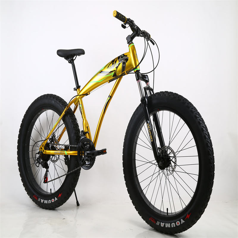 Alibaba Fat Bike Wheel Price Cheap Price 26 Inch 21 Speed Double