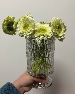 Vase en verre transparent de style européen de 18 cm, vase minimaliste pour fleurs aquatiques, ornement de bureau pour le salon, décoration intérieure - Product Image 4