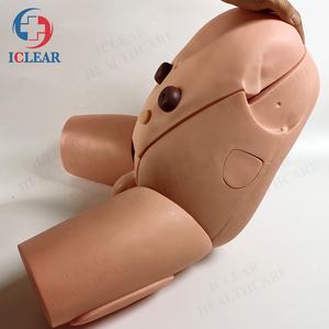 वरिष्ठ पुरुष जननांग कैथीटेराइजेशन सिम्युलेटर - Product Image 4