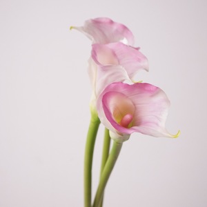 Alta calidad hecha a mano Artificial PU True Touch Calla Lily Flower para boda o Navidad hogar florero decoración graduación - Product Image 6