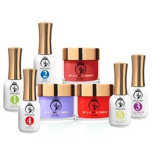 Fabricant de poudre acrylique en gros 3 en 1 Perfect Color Match Gel Vernis et vernis à ongles OEM