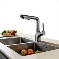 Nouveau Robinet de Cuisine Multifonctionnel en Alliage de Cuivre à Poignée Unique et Extensible pour Évier à Légumes