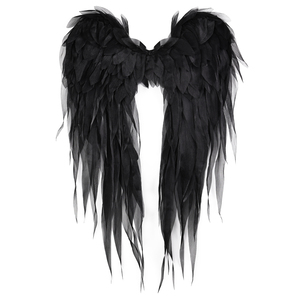 113*70cm XL Kích thước Organza Vải Cánh Halloween Carnival cánh sang trọng trang phục thiên thần cánh cho các sự kiện Cosplay Halloween bên - Product Image 2