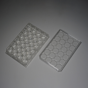 Equipo de laboratorio médico Placa de 24 cultura desechable Placa de laboratorio de <span class=keywords><strong>cultivo</strong></span> <span class=keywords><strong>celular</strong></span> de la placa - Product Image 2