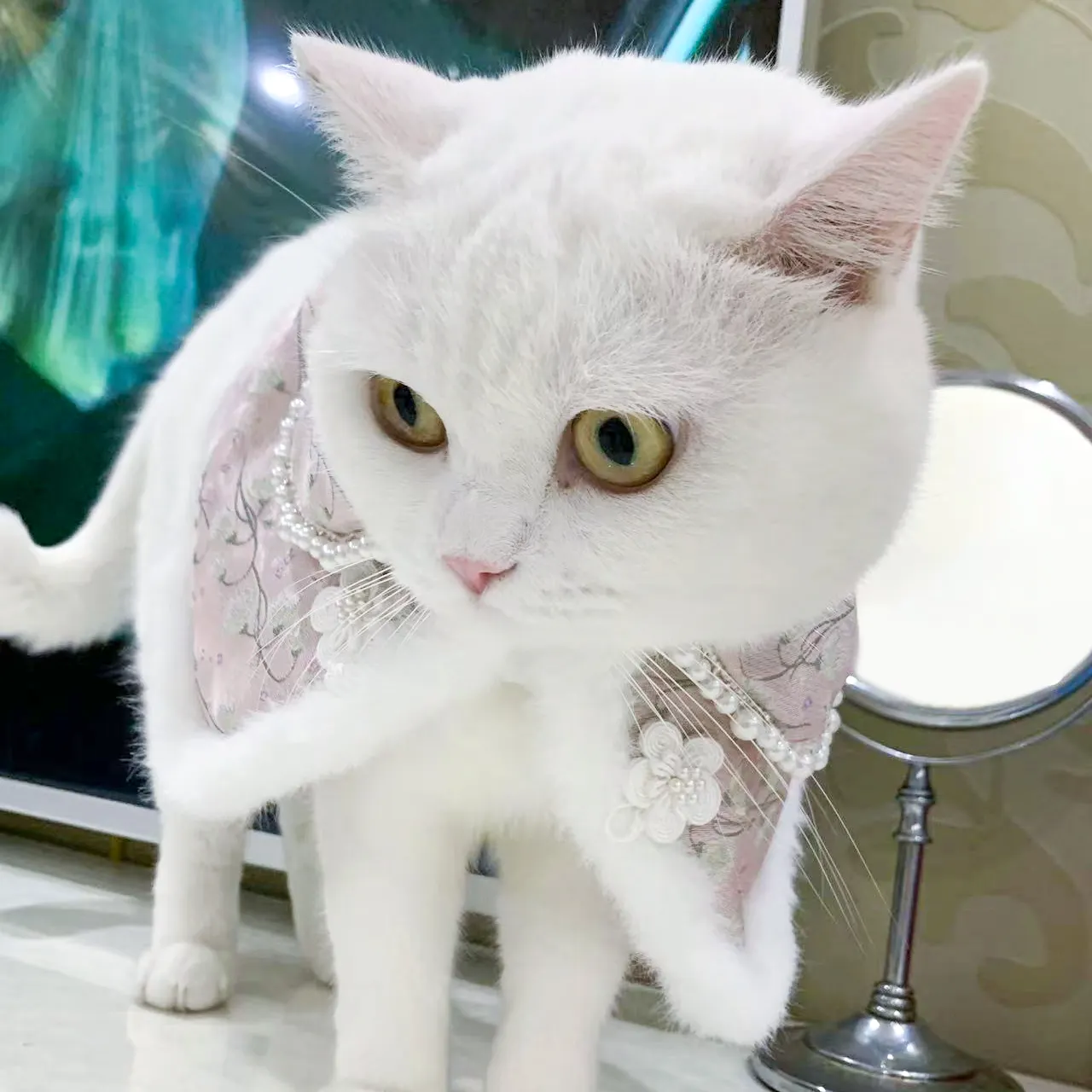 Traje de juego de rol Poncho capa gato abrigo cálido capa para gato Cosplay gato sombreros abrigos lindo