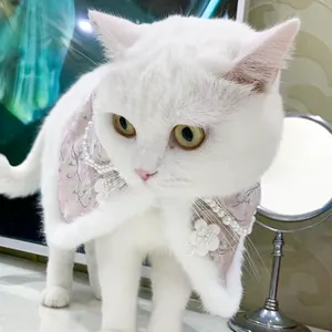 Costume Roleplay Poncho mantello per gatto cappotto caldo mantello per gatto Cosplay cappelli di gatto cappotti carini