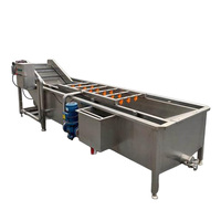 Commerciële volautomatische fruit- en groentereinigingsmachine Roestvrijstalen bubbelozonwasmachine Motor met hoge efficiëntie
