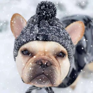 Gorro para Perro con Pompón, Gris, de Lana Tejida, para Invierno, para Bulldogs Franceses, Pugs y Perros Grandes, Ropa para Mascotas - Product Image 1
