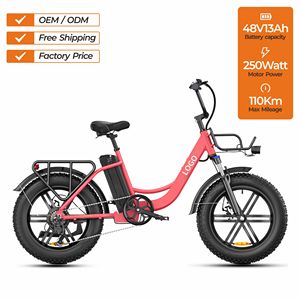 Vélo Léger 20 Pouces avec Batterie Lithium 48V13Ah, Moteur 250W, Pneus Larges, 7 Vitesses, Vélo de Ville OEM L20 ENGWE L20 Entrepôt UE - Product Image 2