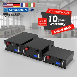 Batería de Iones de Litio de 48V 50AH 100AH 200AH 300AH, Sistema de Almacenamiento de Energía Solar de 2.5KWH 5KWH 10KWH 15KWH, Paquete de Baterías en Rack LFP48100R - Product Image 3