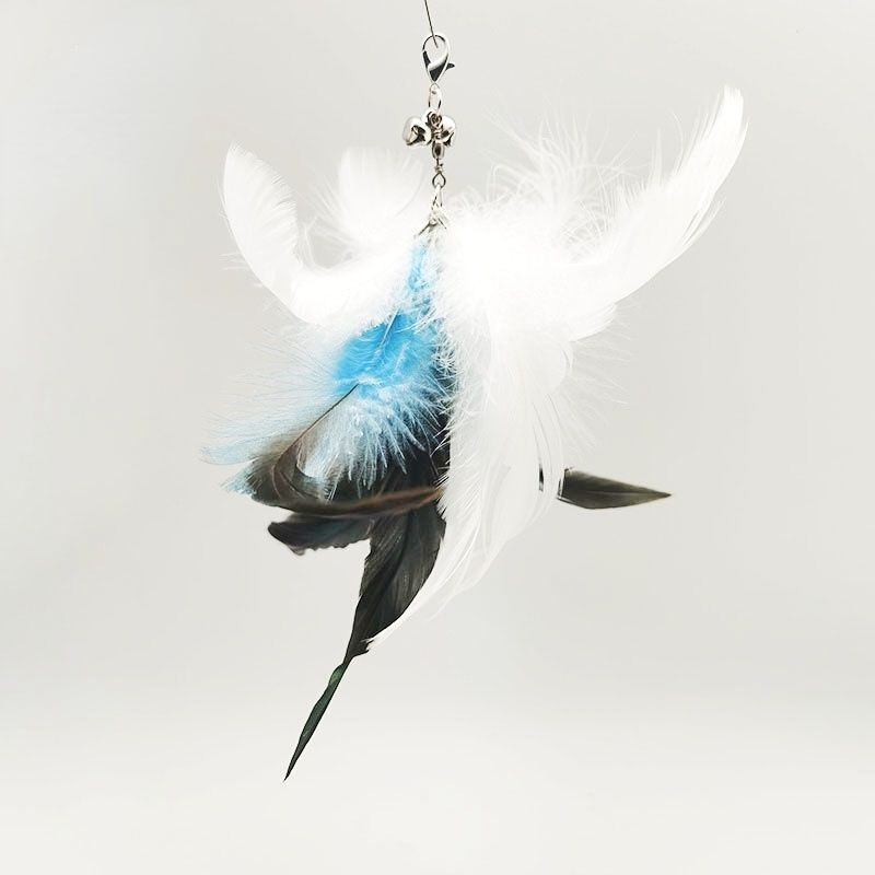 white and blue feather