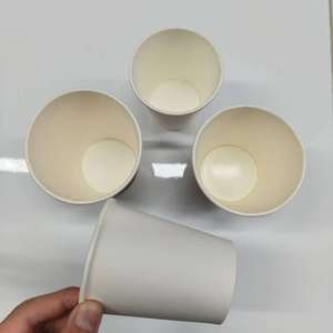 Disposable Eco-Friendly 5 oz 8 oz Paper Cups Single Wall Coffee Cups Disposable Eco-Friendly