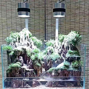 Jin Jing Vijf-Lijn Ultra-Witte Land-En Wateraquarium, Aquarium In Plantenstijl, Ultrawitte Glazen Amfibieënregenwoudtank - Product Image 4