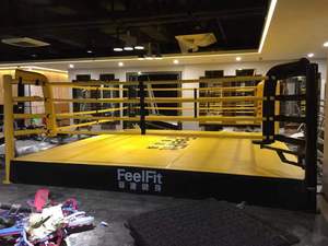 Ring de Boxe Professionnel pour Entraînement en Salle de Sport, avec ou sans Table - Product Image 5